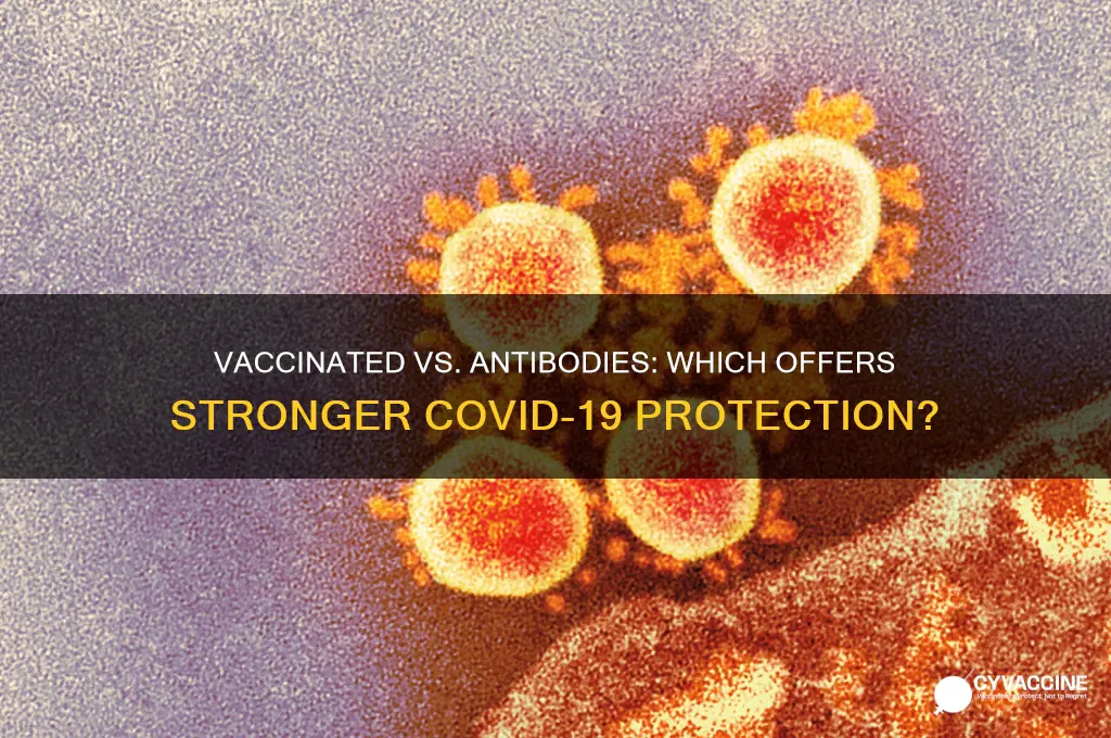 is it better to be vaccinated or have antibodies