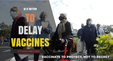 Exploring the Debate: To Delay or Not to Delay Vaccines?