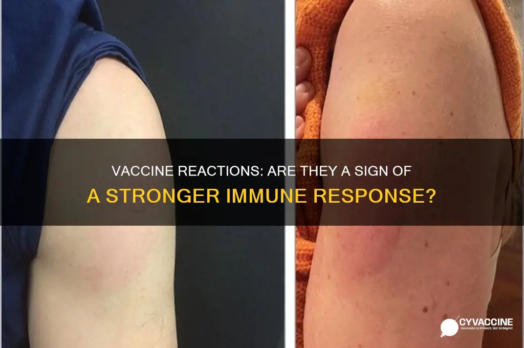 is it better to have a reaction to the vaccine