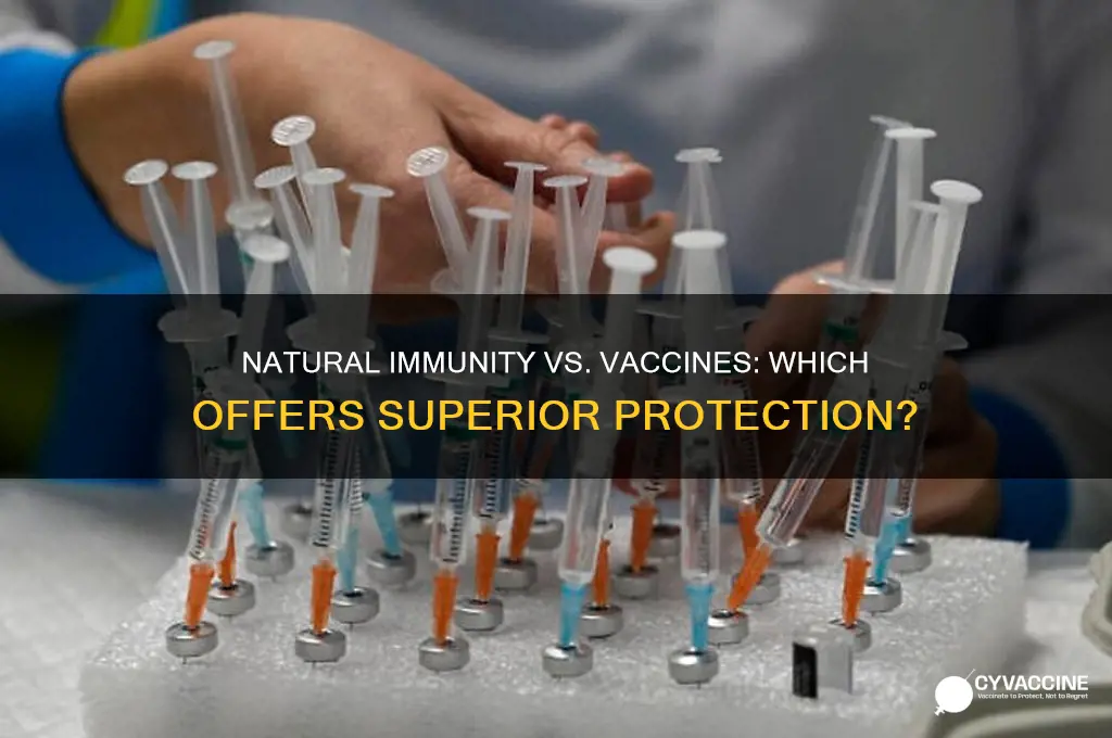 is it better to have natural antibodies or a vaccine