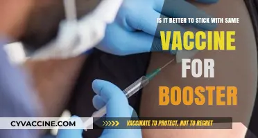 Same Vaccine for Boosters: Better Immunity or Mix-and-Match?