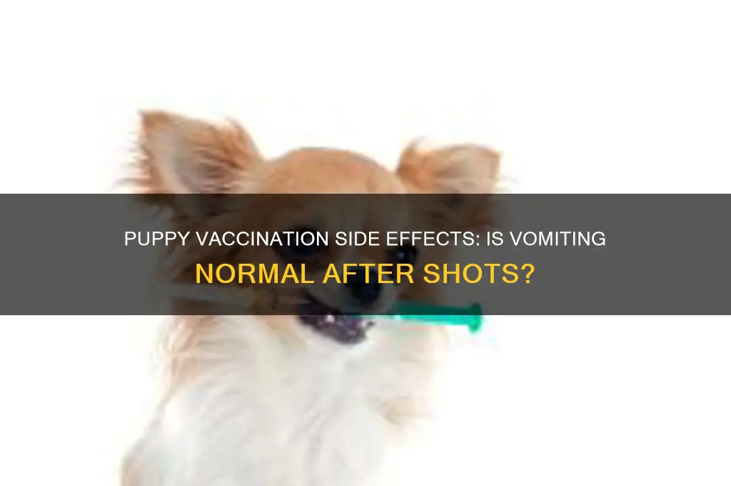 is it common for puppies to throw up after vaccinations