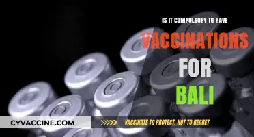 Bali Travel Vaccination Requirements: Are Shots Mandatory for Visitors?