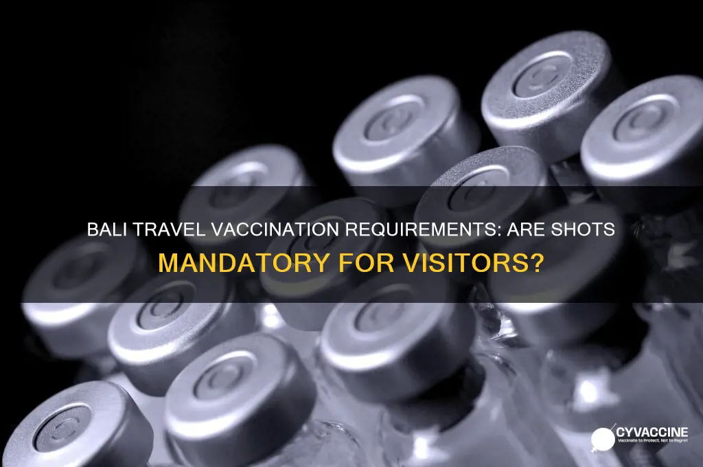 is it compulsory to have vaccinations for bali