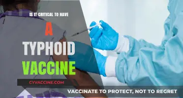 Is Typhoid Vaccine Essential for Your Health and Safety?