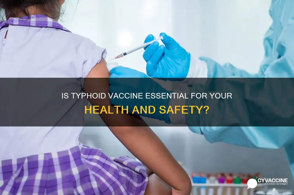 is it critical to have a typhoid vaccine