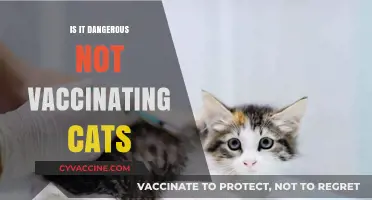 Feline Health at Risk: The Dangers of Not Vaccinating Cats