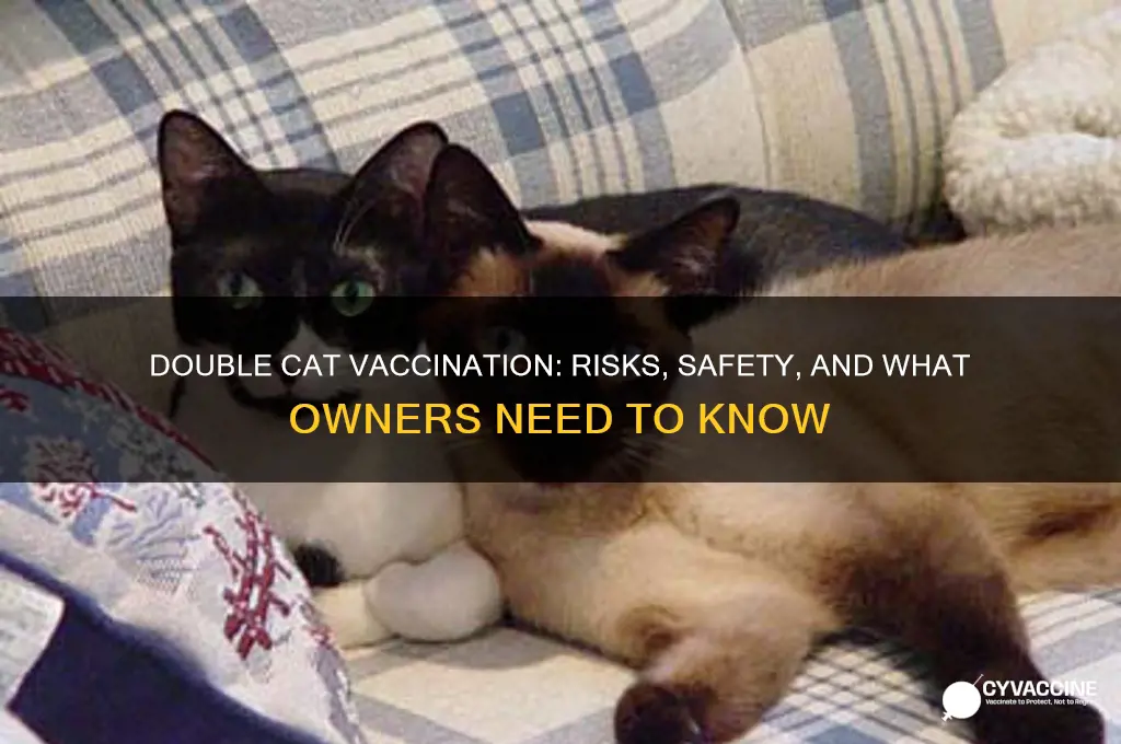 is it dangerous to vaccinate a cat twice