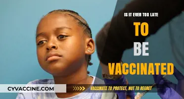 Is It Ever Too Late to Get Vaccinated? Debunking Myths and Facts