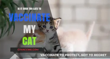 Is It Ever Too Late to Vaccinate Your Cat?