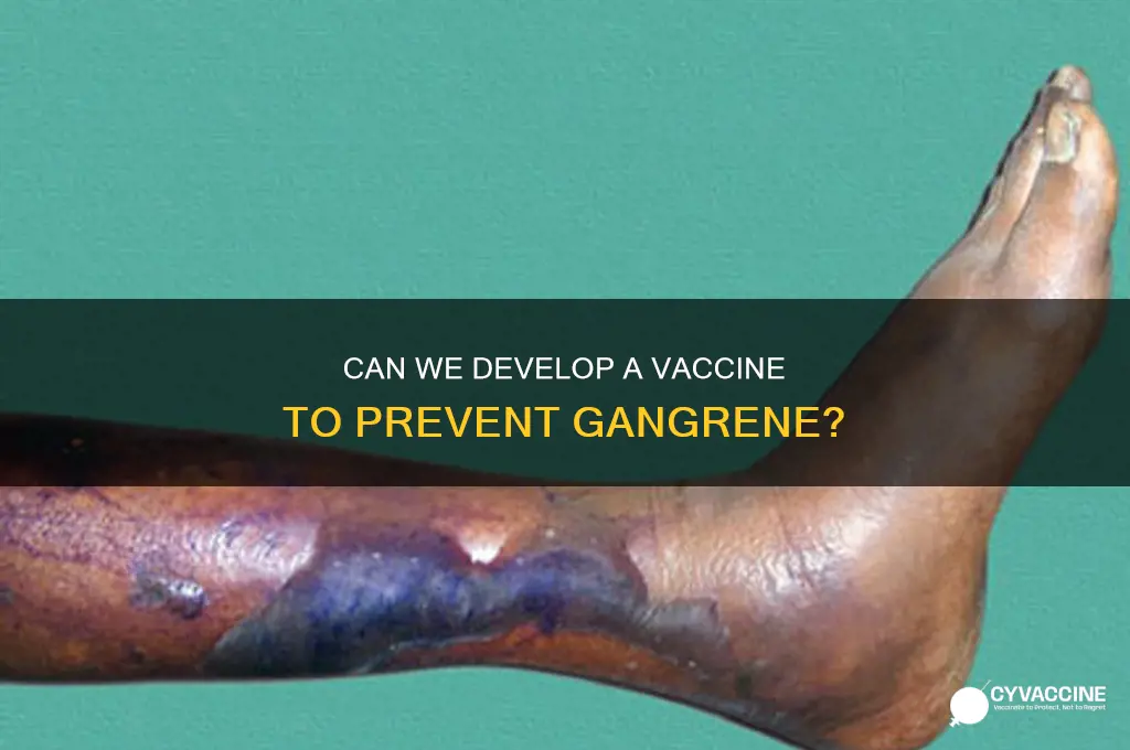 is it feasible to consttuct a vaccine against gangrene