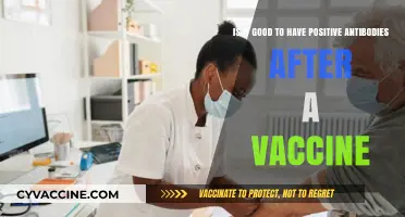 Positive Antibodies Post-Vaccination: A Sign of Strong Immunity?