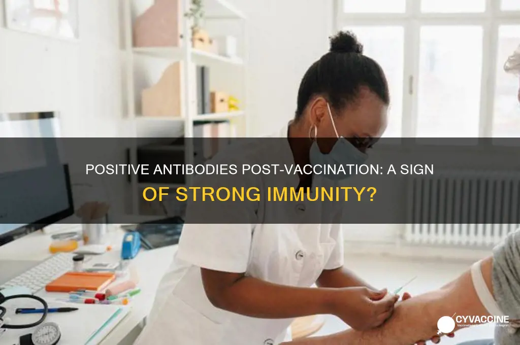 is it good to have positive antibodies after a vaccine