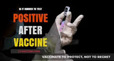Vaccinated and Tested: Does the COVID-19 Vaccine Affect Test Results?