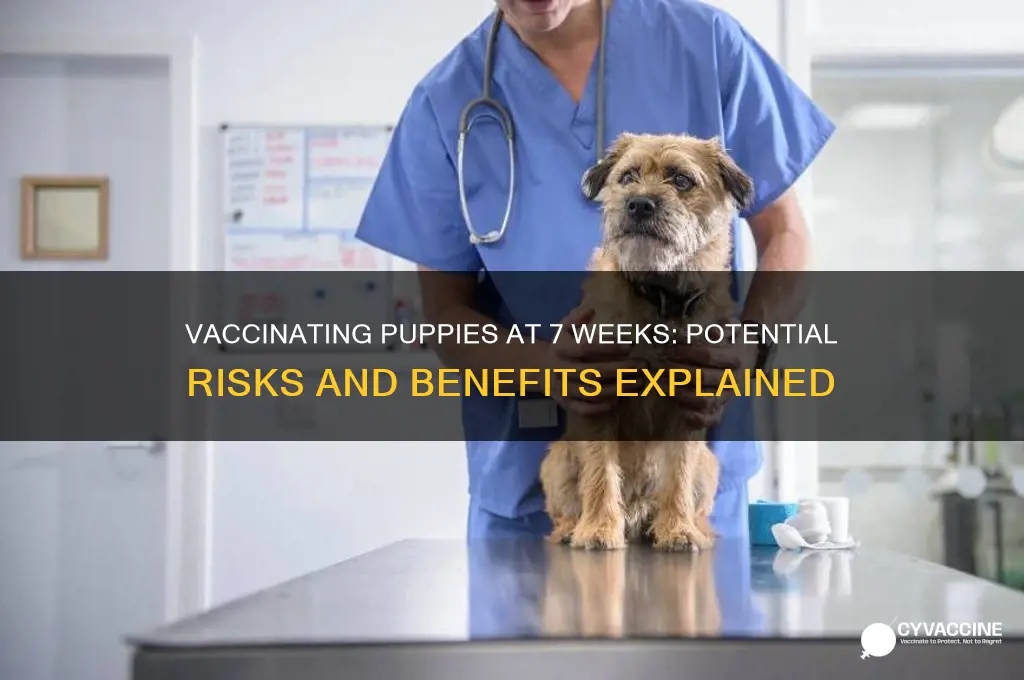 is it harmful to vaccinate puppies at 7 weeks