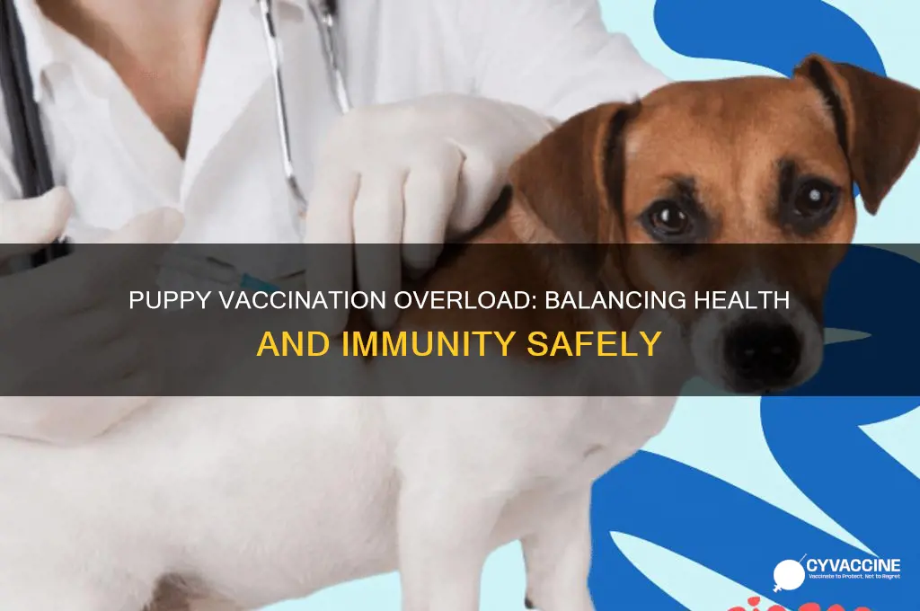 is it healthy to vaccinate a puppy with too many
