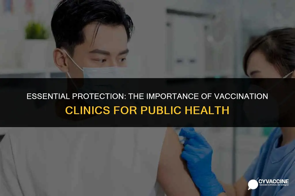 is it highly recommended vaccination clinics