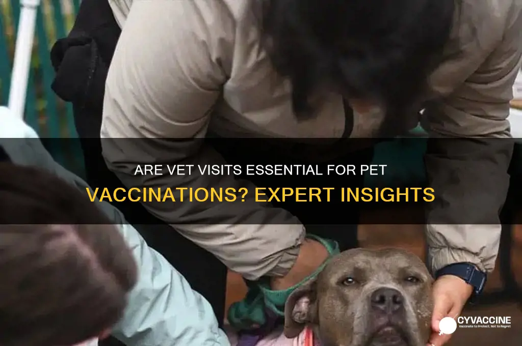is it highly recommended vets for pet vaccinations