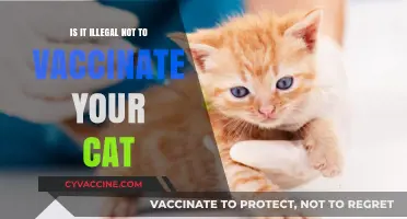 Is Skipping Cat Vaccinations Against the Law? Legal Insights Revealed