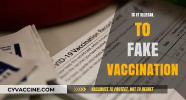 The Legal Ramifications of Falsifying Vaccination Records