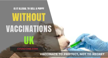 Selling Puppies Without Vaccinations in the UK: Legal or Not?