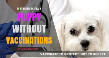 Selling Puppies Without Vaccinations: Legal or Unlawful Practice?