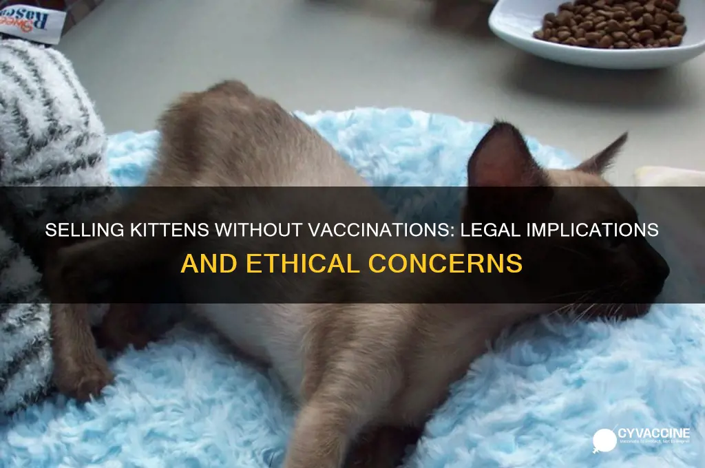 is it illegal to sell kittens without vaccinations