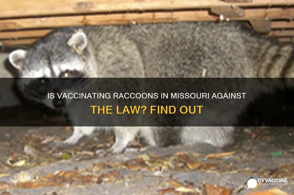 is it illegal to vaccinate raccoons in missouri