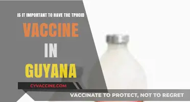 Typhoid Vaccine in Guyana: Essential Protection or Optional Precaution?