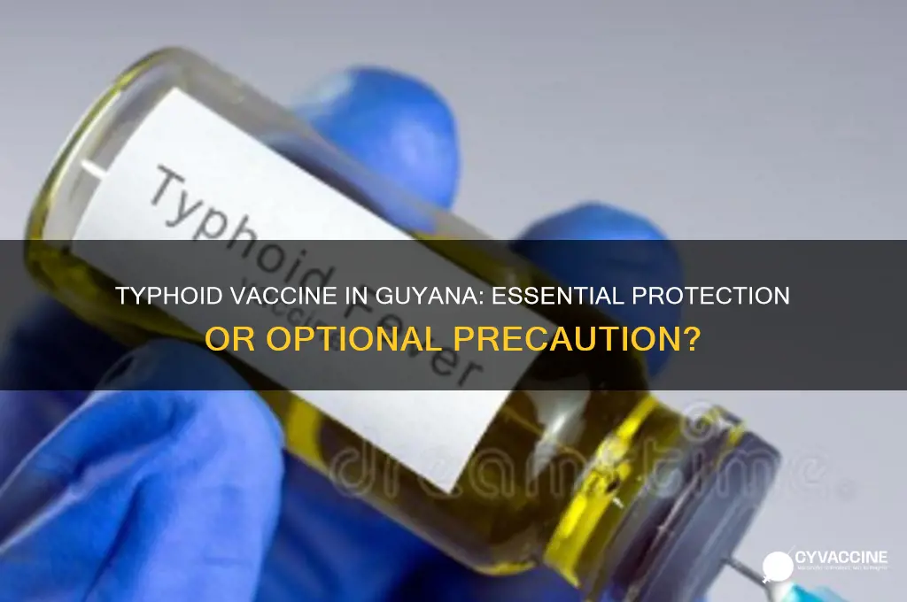 is it important to have the tphoid vaccine in guyana