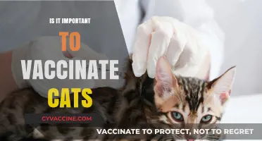 Feline Health Matters: The Importance of Vaccinating Your Cat