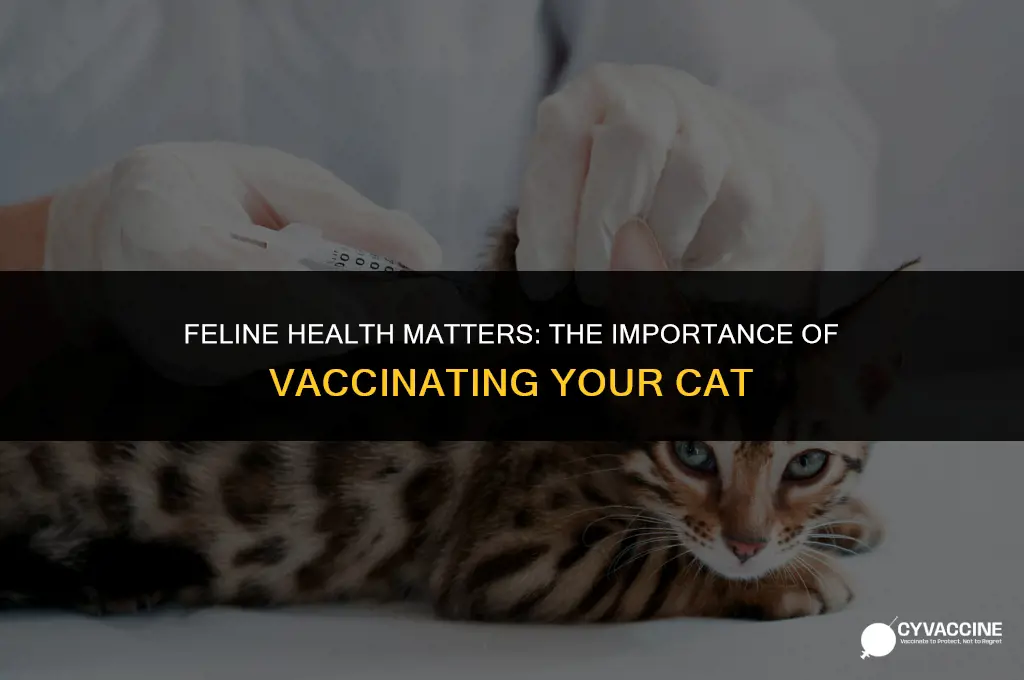 is it important to vaccinate cats