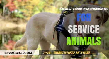 Can Businesses Legally Ask for Service Animal Vaccination Records?