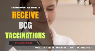 Is BCG Vaccination Mandatory for Babies? Understanding the Necessity