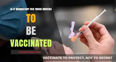 Are Truck Drivers Required to Get Vaccinated? Legal Insights
