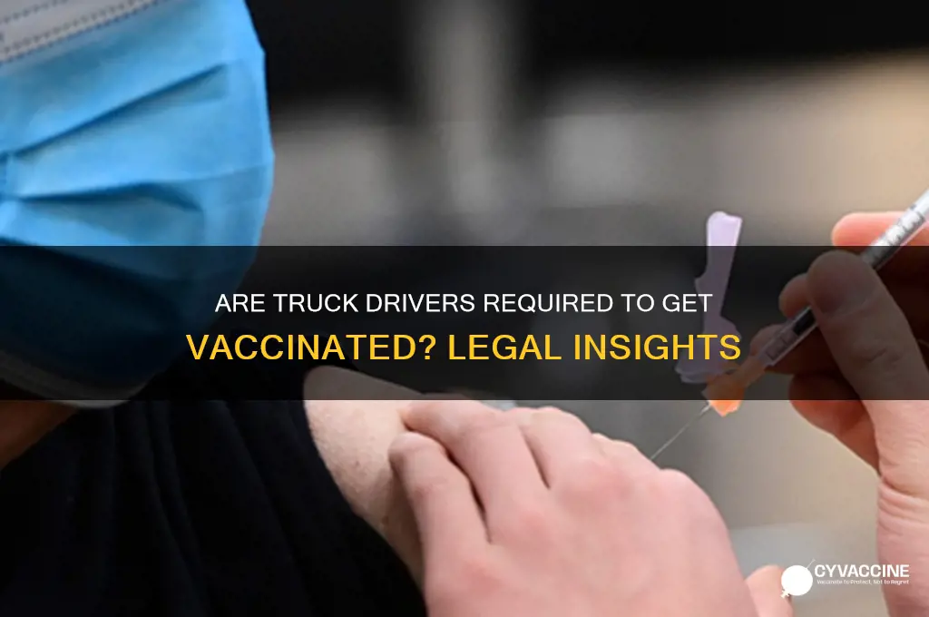 is it mandatory for truck drivers to be vaccinated