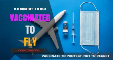 Flying Post-Pandemic: Are Full Vaccinations Required for Air Travel?