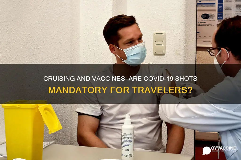 is it mandatory to be vaccinated to cruise