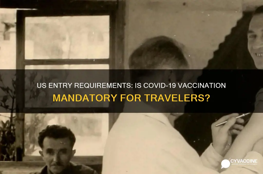 is it mandatory to be vaccinated to enter the us