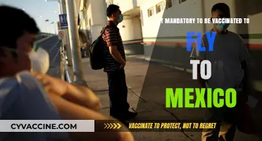 Flying to Mexico: Are COVID-19 Vaccinations Required for Travel?