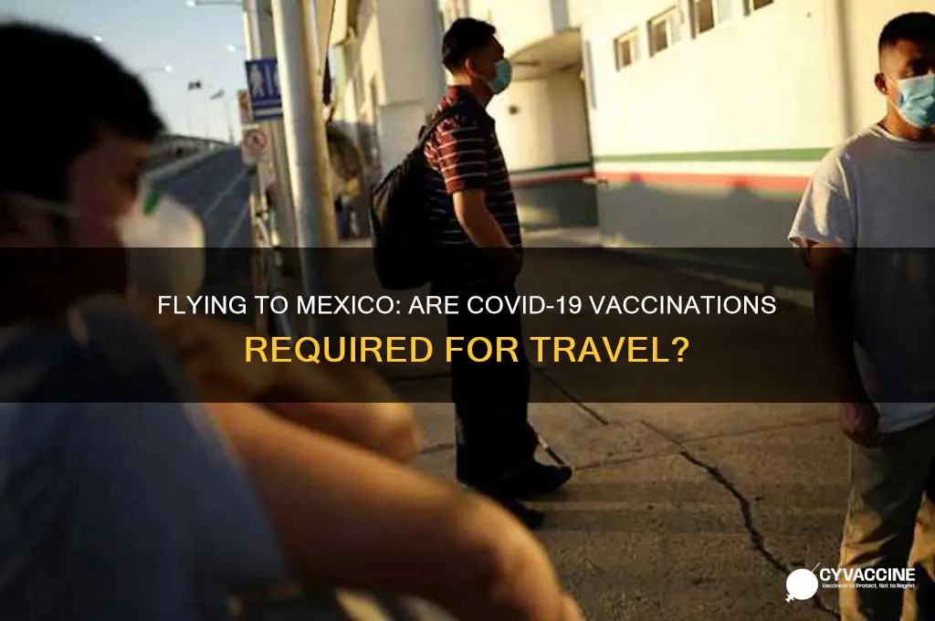 is it mandatory to be vaccinated to fly to mexico
