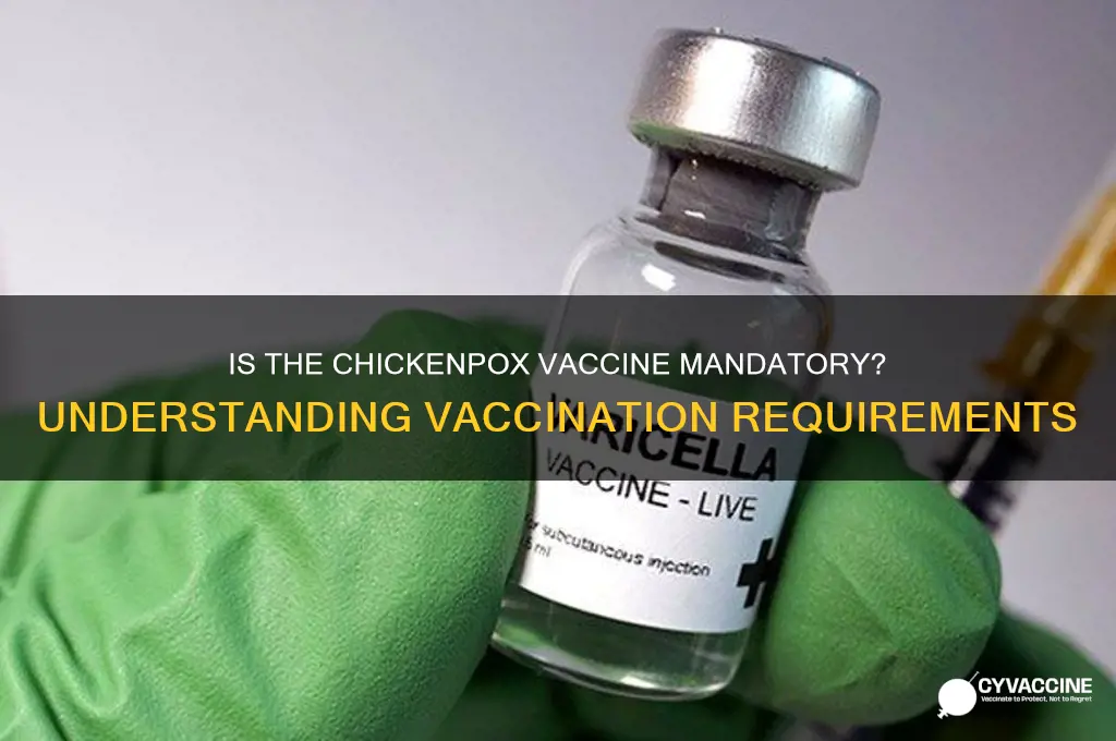 is it mandatory to have a chickenpox vaccine