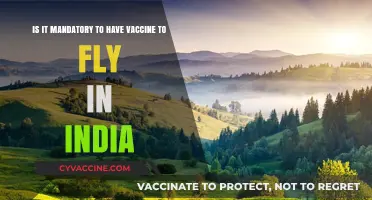Flying in India: Is COVID-19 Vaccination Mandatory for Air Travel?