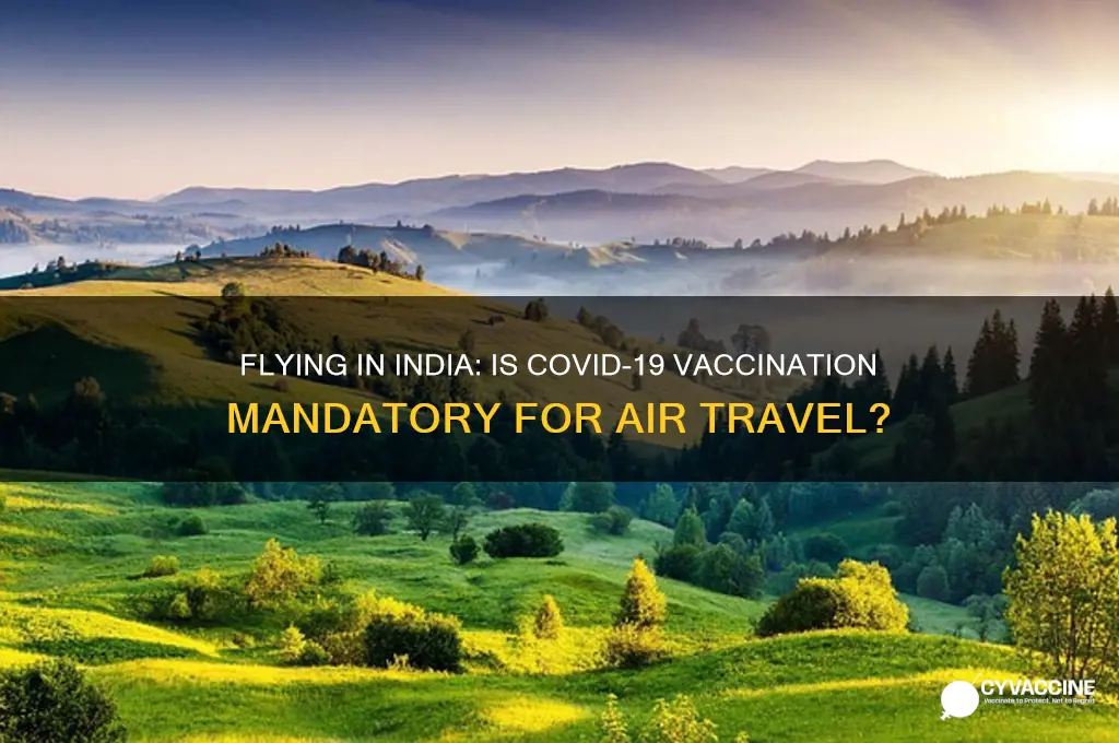 is it mandatory to have vaccine to fly in india