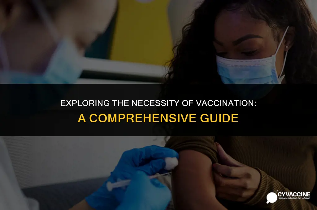 is it mandatory to have vaccine