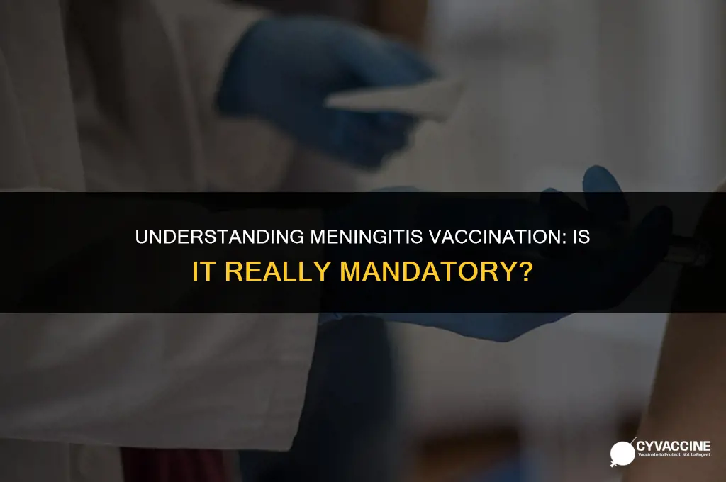 is it mandatory to meningitis vaccination