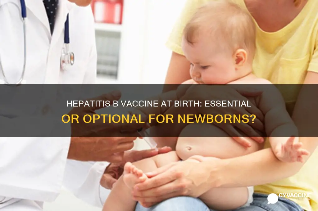 is it necessary for hep b vaccine at birth