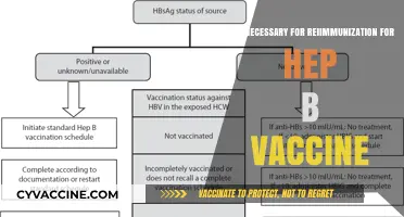 Reimmunization for Hepatitis B: Is It Really Necessary?