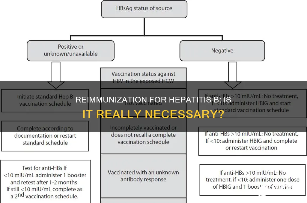is it necessary for reiimmunization for hep b vaccine