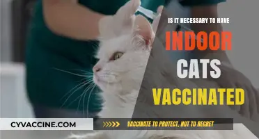 Indoor Cats and Vaccinations: Are Shots Really Necessary?